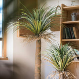 Moroccan Artificial Palm Tree In Pot - Ed's Plant Shop