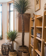 Moroccan Artificial Palm Tree In Pot - Ed's Plant Shop