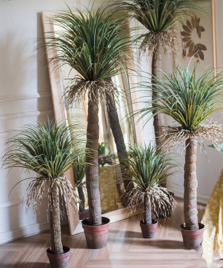 Moroccan Artificial Palm Tree In Pot - Ed's Plant Shop