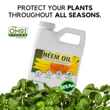 Neem Oil 16oz - Ed's Plant Shop