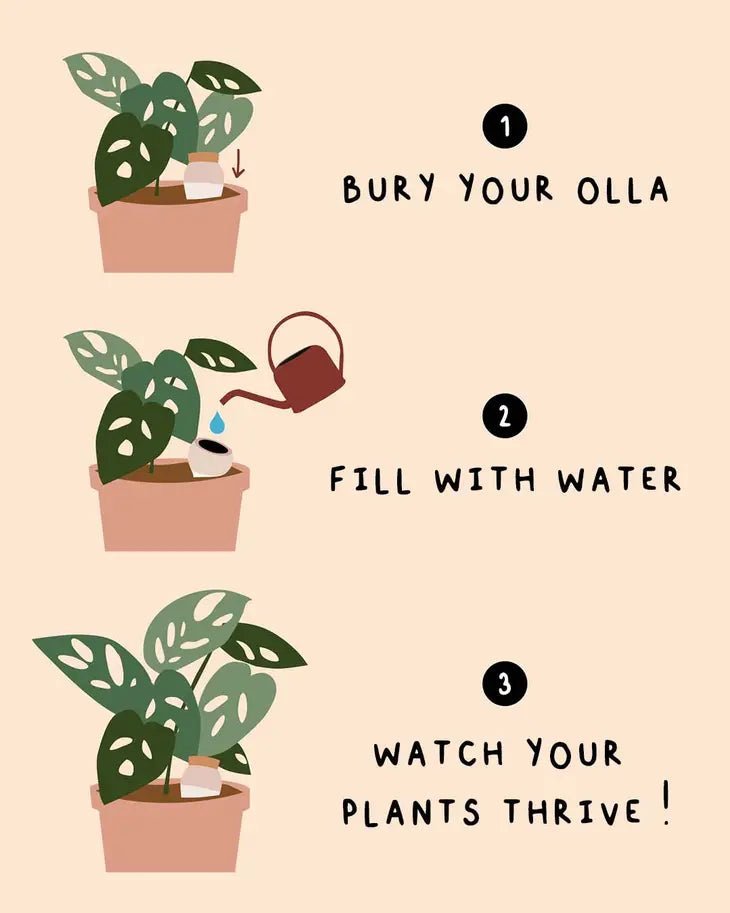 Olla Terracotta Self - Watering Pot | Efficient Plant Irrigation - Ed's Plant Shop