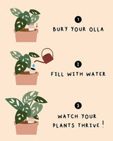 Olla Terracotta Self - Watering Pot | Efficient Plant Irrigation - Ed's Plant Shop