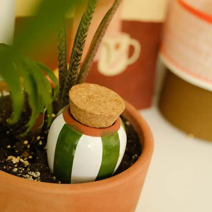 Olla Terracotta Self - Watering Pot | Efficient Plant Irrigation - Ed's Plant Shop