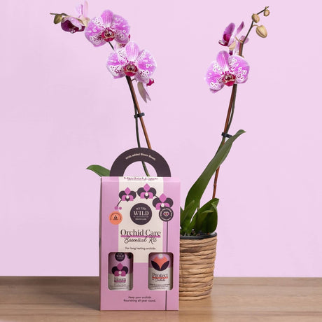 Orchid Care Essential Kit - Fertilizer & Spray by We The Wild (5 fl oz & 8 fl oz) - Ed's Plant Shop