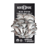 Organic Blue Oyster ‘Spray & Grow’ Mushroom Growing Kit - Ed's Plant Shop