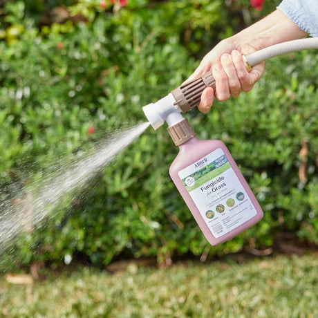 Organic Fungicide for Grass, Trees &amp; Shrubs - Ed's Plant Shop