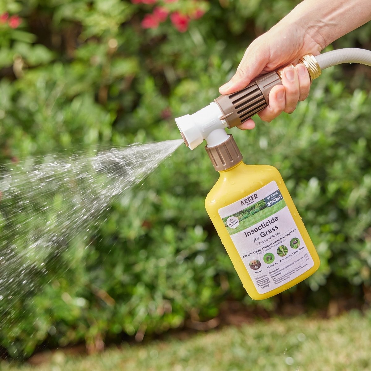 Organic Insecticide for Grass, Trees & Shrubs - Ed's Plant Shop