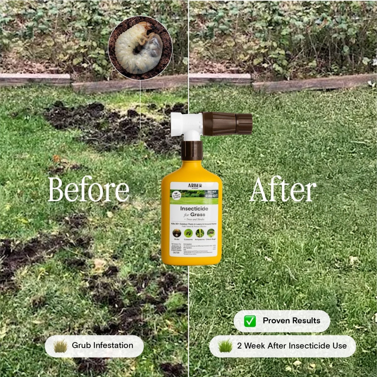 Organic Insecticide for Grass, Trees & Shrubs - Ed's Plant Shop