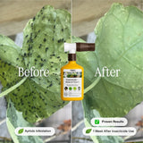 Organic Insecticide for Rose & Flower - Ed's Plant Shop