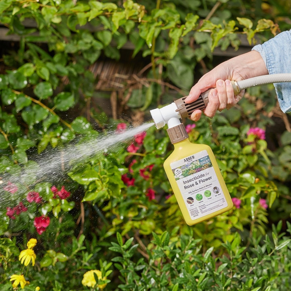 Organic Insecticide for Rose & Flower - Ed's Plant Shop