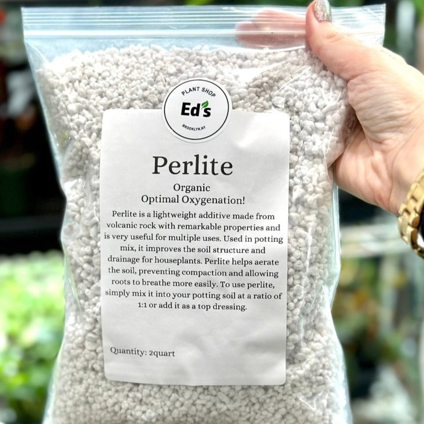 Organic Perlite: Lightweight Substrate For Houseplants - Ed's Plant Shop