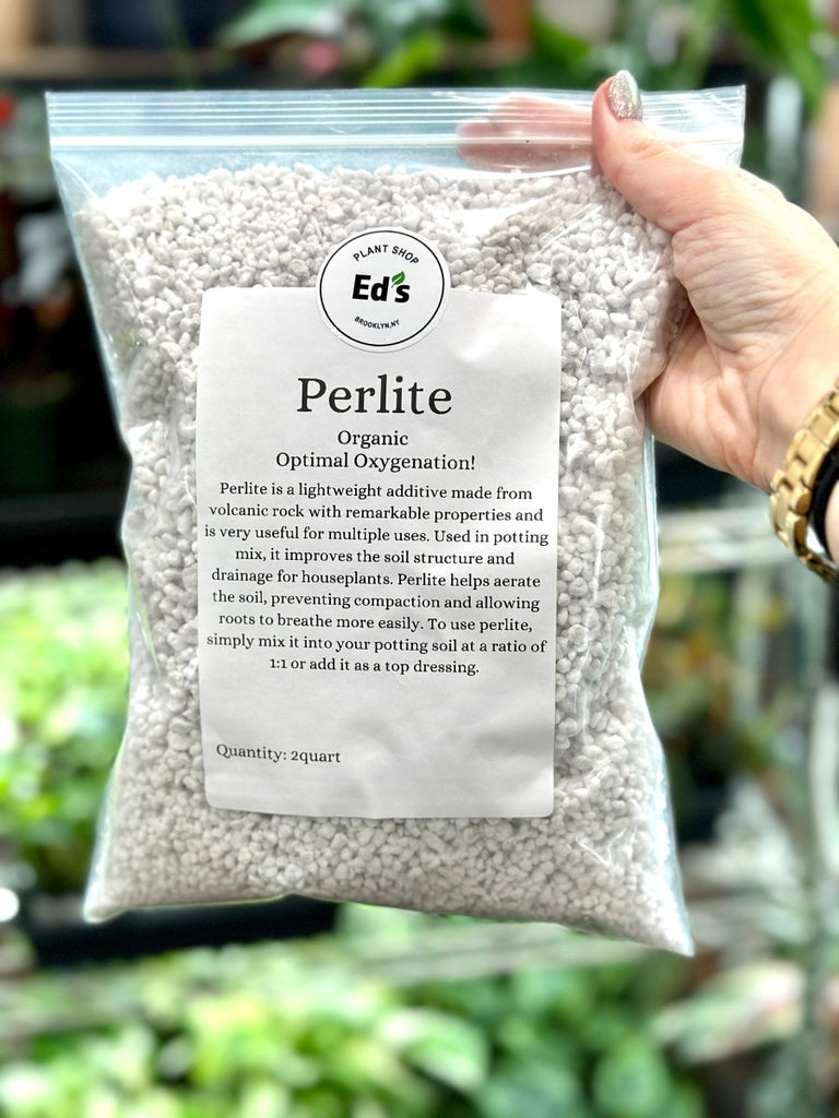 Organic Perlite: Lightweight Substrate For Houseplants - Ed's Plant Shop