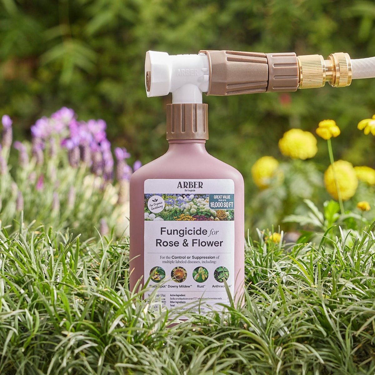 Organic Rose & Flower Fungicide — Ready - to - Spray 16 oz - Ed's Plant Shop