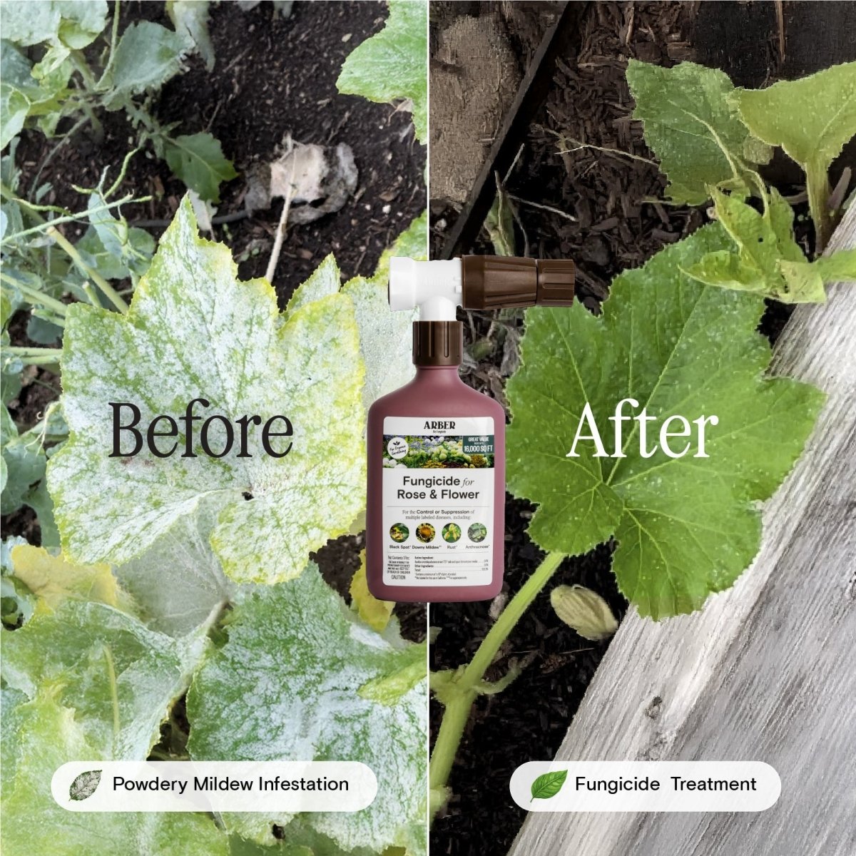 Organic Rose & Flower Fungicide — Ready - to - Spray 16 oz - Ed's Plant Shop