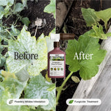 Organic Rose & Flower Fungicide — Ready - to - Spray 16 oz - Ed's Plant Shop