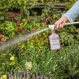 Organic Rose & Flower Fungicide — Ready - to - Spray 16 oz - Ed's Plant Shop