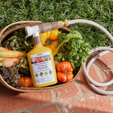 Organic Tomato & Vegetable Insecticide — Ready - to - Spray Concentrate - Ed's Plant Shop