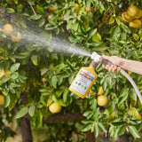 Organic Tomato & Vegetable Insecticide — Ready - to - Spray Concentrate - Ed's Plant Shop