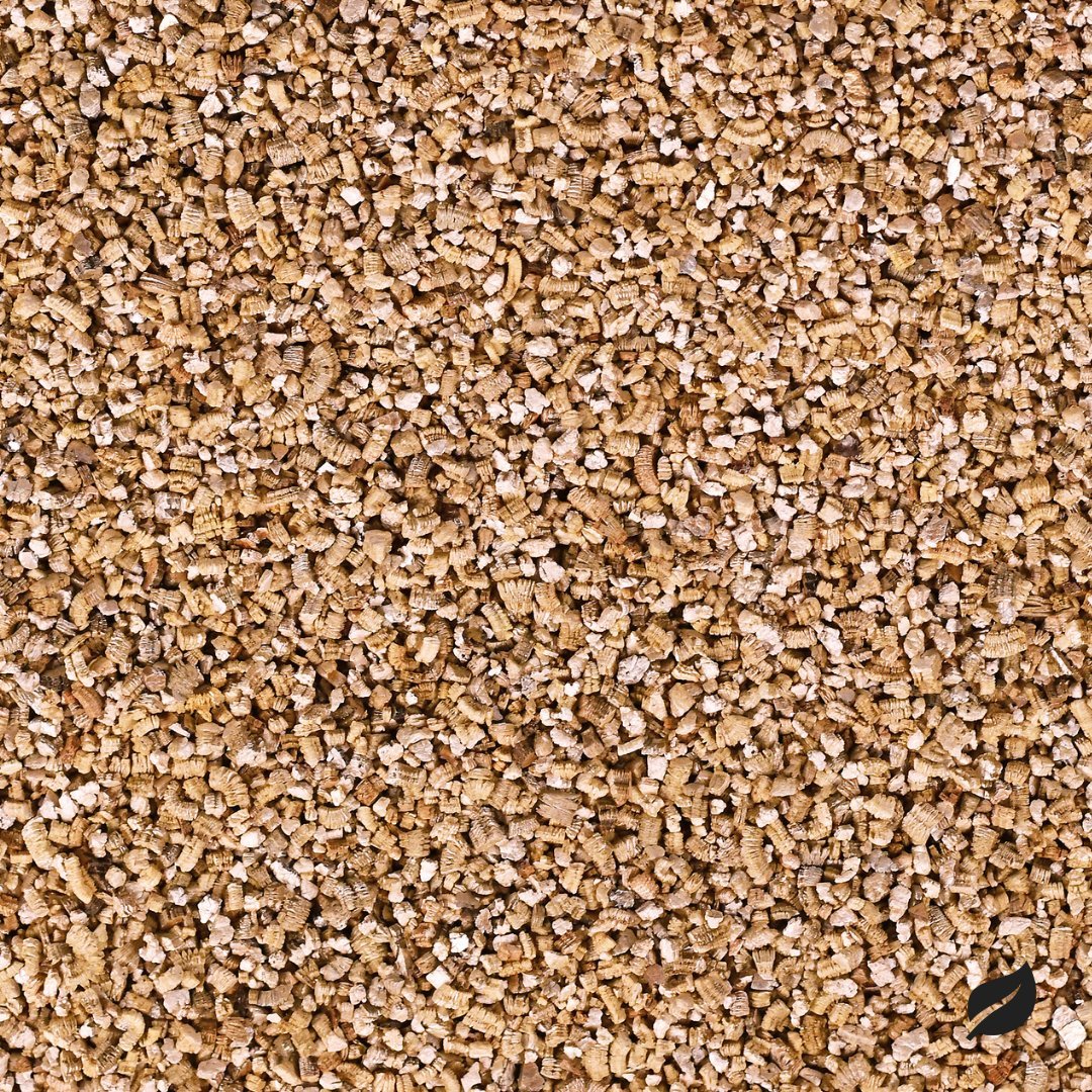 Organic Vermiculite: Lightweight Substrate For Houseplants - Ed's Plant Shop