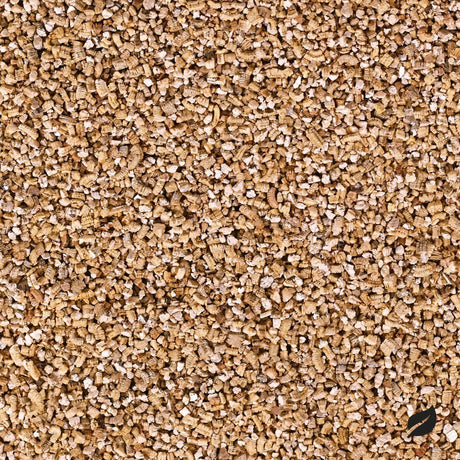 Organic Vermiculite: Lightweight Substrate For Houseplants - Ed's Plant Shop