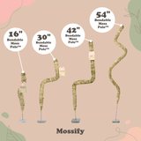 Bendable moss poles with varying lengths and 'Mossify' branding on a beige background.