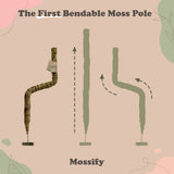Illustration of a bendable moss pole with different configurations on a pink background, featuring the brand 'Mossify'.