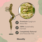 Moss pole with spagnum moss mix, labeled as premium, sustainably farmed, and pesticide-free by Mossify.