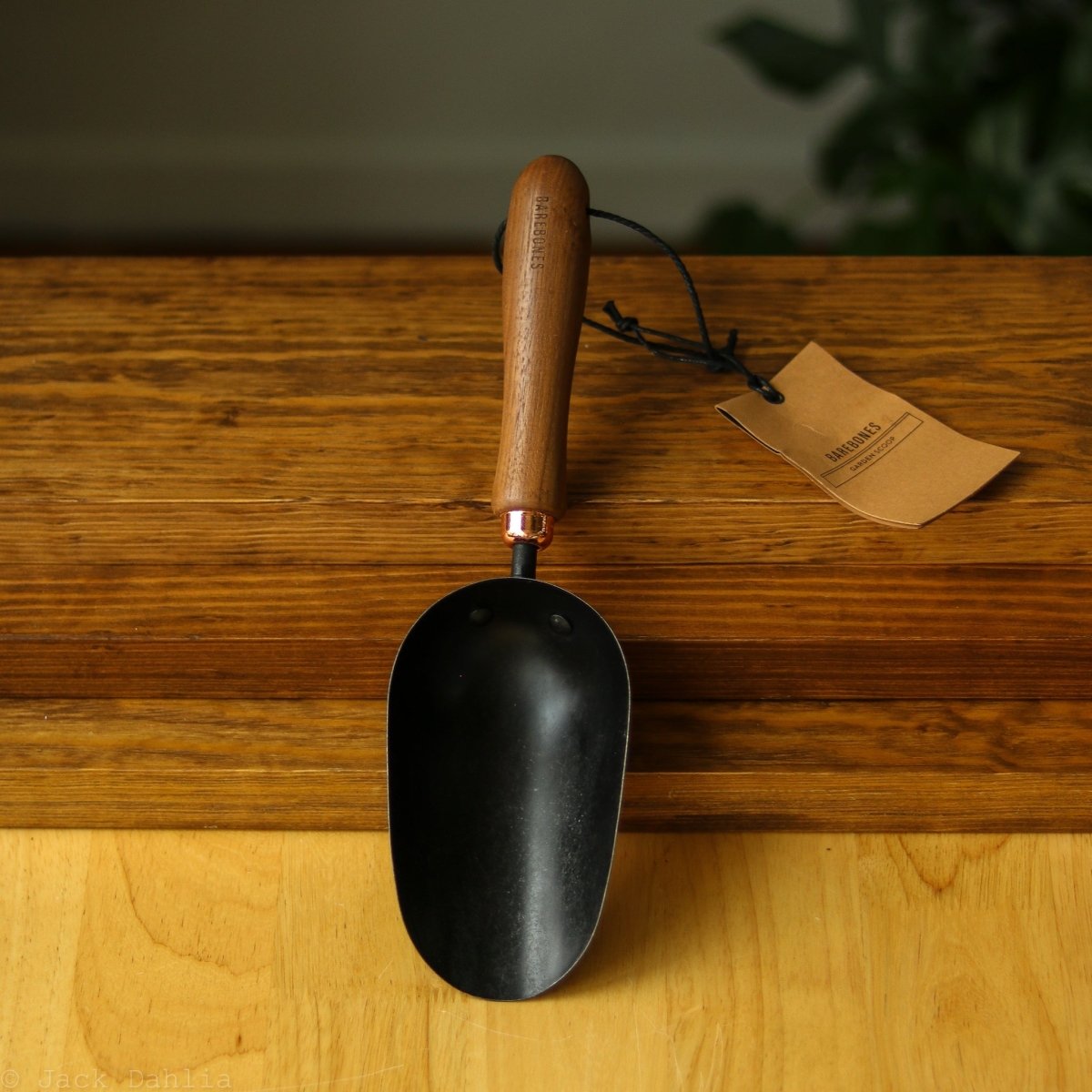 Oversized Garden Scoop with Walnut Handle - Ed's Plant Shop