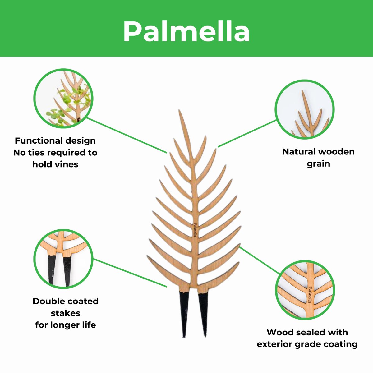 Palmella - Plant Support & Trellis - Ed's Plant Shop