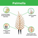 Palmella - Plant Support & Trellis - Ed's Plant Shop