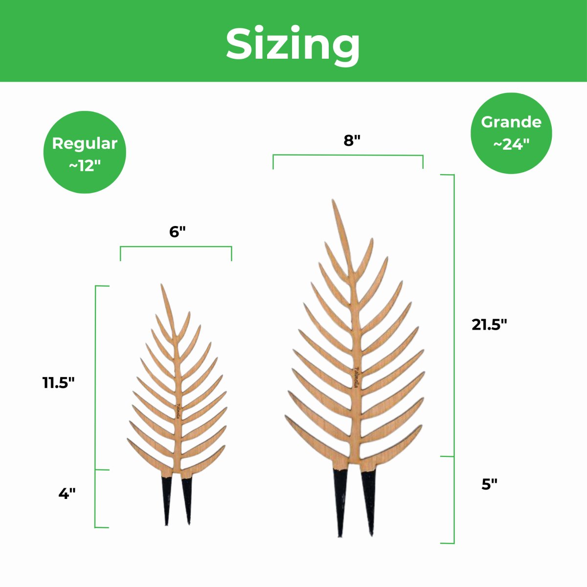 Palmella - Plant Support & Trellis - Ed's Plant Shop