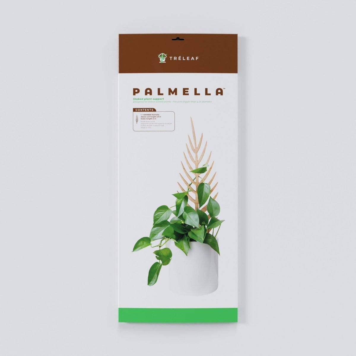 Palmella - Plant Support & Trellis - Ed's Plant Shop