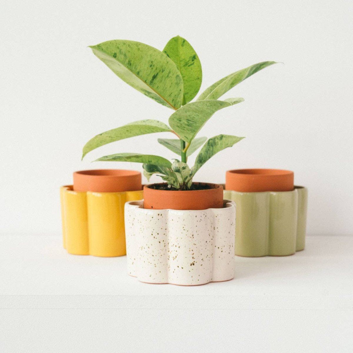 Group of Paula Self Watering Planter Pots - Multiple Colors - Ed's Plant Shop