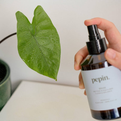 Pepin Cleaning Brume | Plant - Friendly Cleaning Mist with Probiotics - Ed's Plant Shop