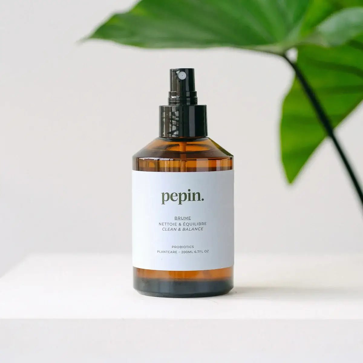 Pepin Cleaning Brume | Plant - Friendly Cleaning Mist with Probiotics - Ed's Plant Shop