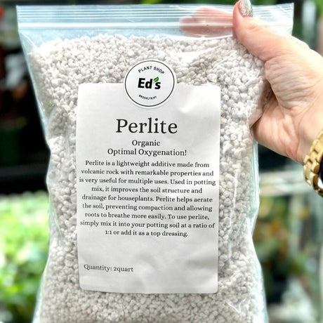 Perlite for Houseplants - Improve Soil Aeration and Drainage - Ed's Plant Shop