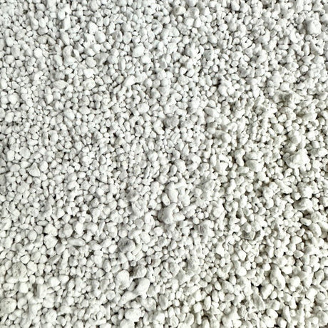 Perlite for Houseplants - Improve Soil Aeration and Drainage - Ed's Plant Shop