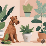 Pet-Friendly Plant Subscription – Safe Monthly Greenery