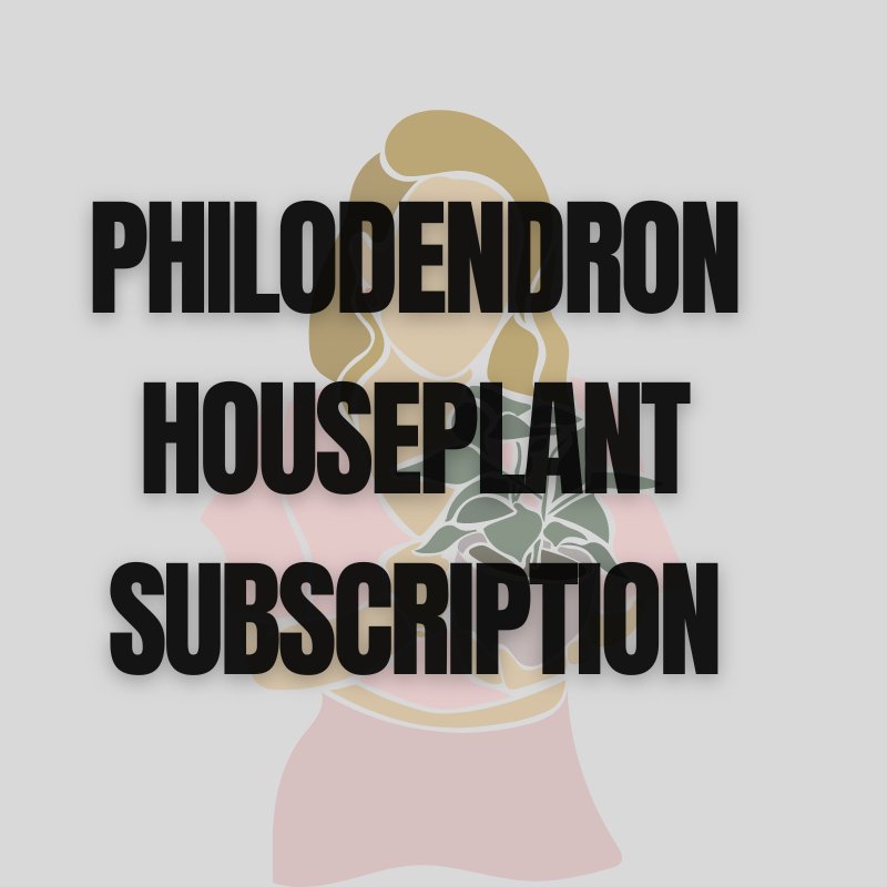 Philodendron Plant Subscription - Subscribe & Thrive! - Ed's Plant Shop