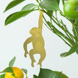 Plant Animal - Chimpanzee - Ed's Plant Shop