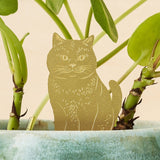 Plant Animal - Plant Decor - Cat - Ed's Plant Shop