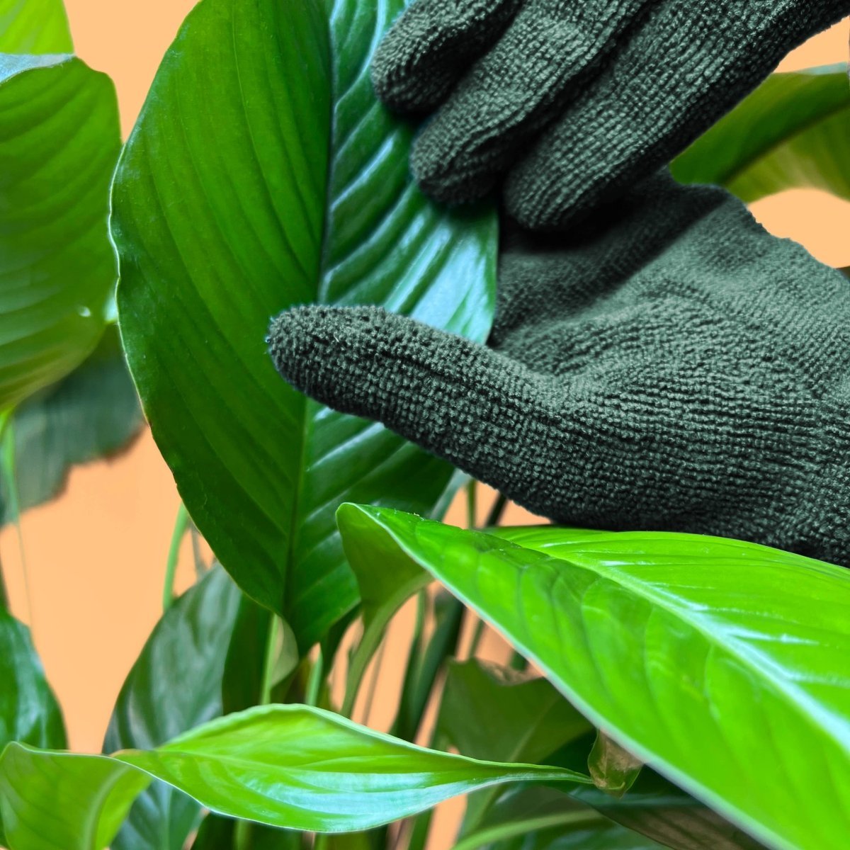 Plant Cleaning Gloves - Reusable Microfiber Leaf Care Gloves - Ed's Plant Shop