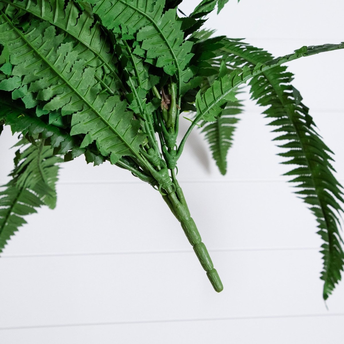 Artificial green fern stem on a white background