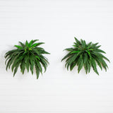 Pair of 48-inch faux Boston ferns with lush green silk-like fronds
