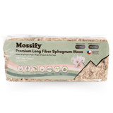 Premium Long Fiber Sphagnum Moss – Orchid & Kokedama Substrate (150g) - Ed's Plant Shop