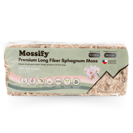 Premium Long Fiber Sphagnum Moss – Orchid & Kokedama Substrate (150g) - Ed's Plant Shop