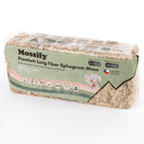 Premium Long Fiber Sphagnum Moss – Orchid & Kokedama Substrate (150g) - Ed's Plant Shop