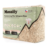 Premium Long Fiber Sphagnum Moss – Orchid & Kokedama Substrate (150g) - Ed's Plant Shop