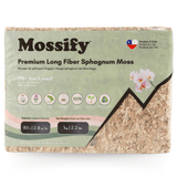 Premium Long Fiber Sphagnum Moss – Orchid & Kokedama Substrate (150g) - Ed's Plant Shop