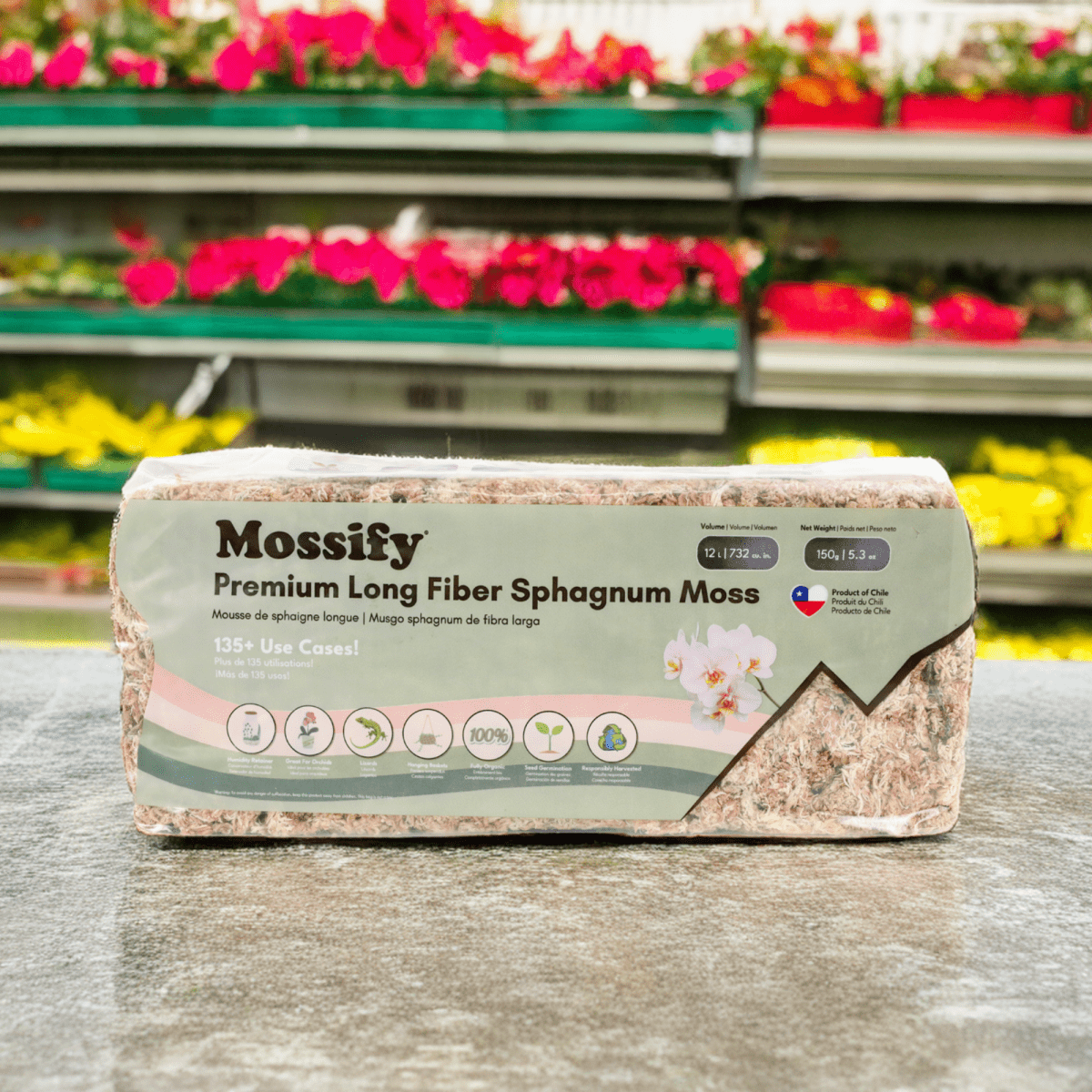 Premium Long Fiber Sphagnum Moss – Orchid & Kokedama Substrate (150g) - Ed's Plant Shop